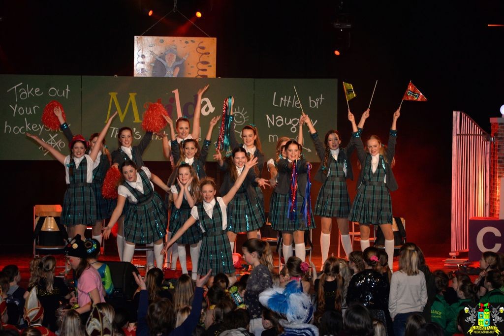 ../Images/Dansmarieke festival 2018 422.jpg